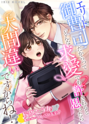 エリート御曹司だからってどんな求愛（プロポーズ）でも許されると思ったら大間違いですからね！